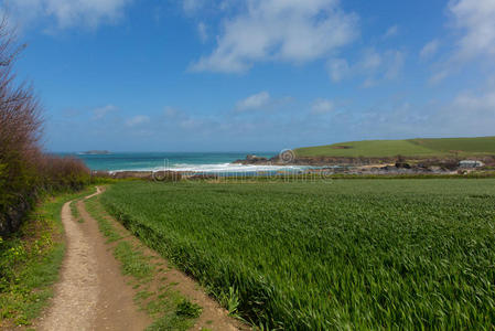 康沃尔语 康沃尔 君士坦丁 公司 英国 假日 风景 海岸线