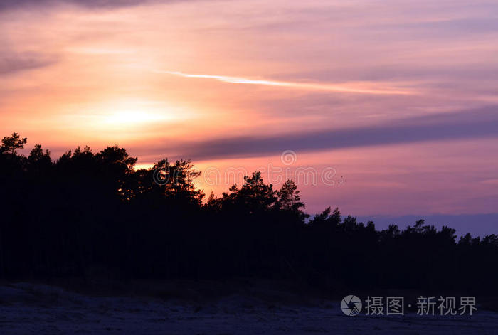 夏天 美丽的 太阳 科尔卡 日出 天空 颜色 拉脱维亚 波罗的海