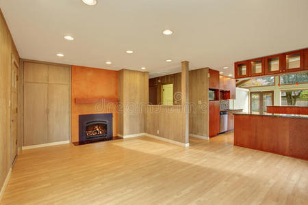 厨房 家庭 壁炉 纹理 地板 活的 建筑 美国人 建筑学