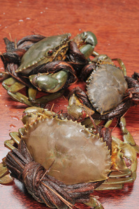 湄公河三角洲的螃蟹