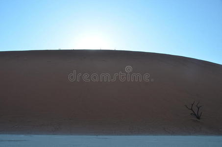死亡的Vlei在纳米比亚的纳米比亚沙漠