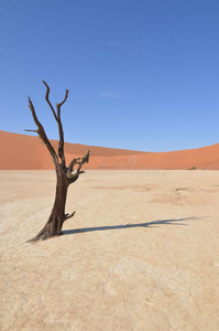 死亡的Vlei在纳米比亚的纳米比亚沙漠
