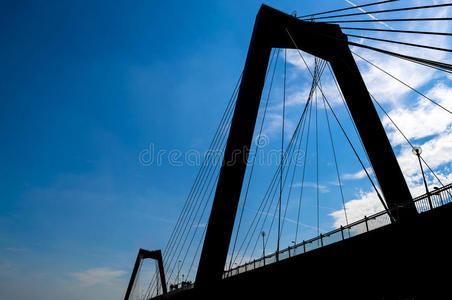 天际线 筒仓 文化 海湾 鹿特丹 旅行 大门 场景 轮廓