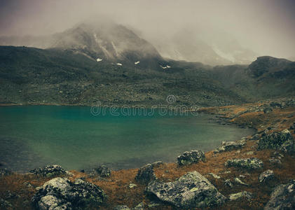 全景 场景 反射 小山 岩石 傍晚 风景 松木 森林 国家的