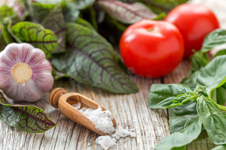 西红柿 饮食 烹饪 素食主义者 调料品 食物 番茄 索雷尔
