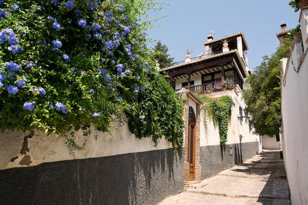 摩尔人 城市 圣徒 欧洲 建筑学 旅游 阿罕布拉 西班牙