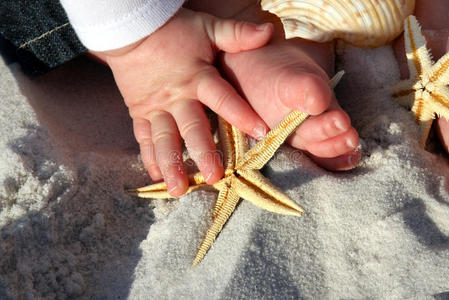 孩子在海滩上抱着海星