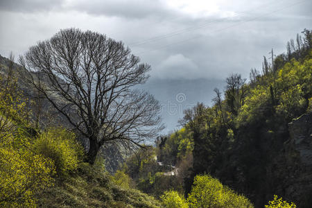 风景 目的地 山谷 照片 不及物动词 岩石 西班牙语 峡谷