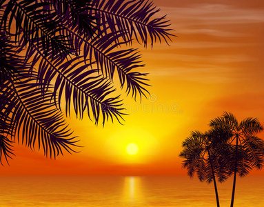 风景 美丽的 黄昏 娱乐 浪漫的 求助 深的 热的 海滩