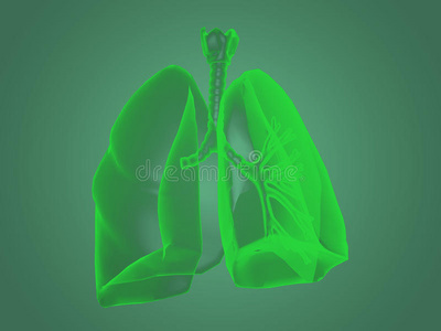 医疗保健 生物学 透明的 身体 医学 科学 呼吸系统 疼痛