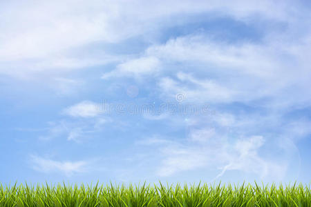 蓝天和云下的草