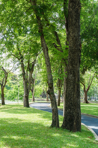 城市 公园 天空 美丽的 风景 周末 夏天 自然 放松 阳光