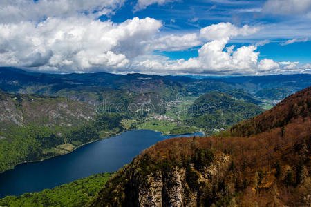 自然 小山 美丽的 风景 国家 旅行 照明 欧洲 草地 森林