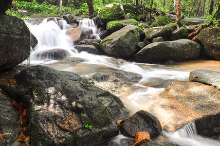 美丽的 水塘 蕨类植物 春天 天堂 丛林 岩石 旅行 植物