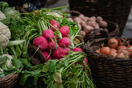 农业 水果 厨房 营养 食物 植物 篮子 花园 市场 饮食