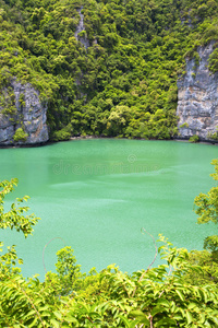 绿色泻湖和树的海岸线