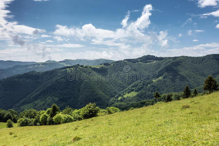 灌木 公园 夏天 乡村 跋涉 牧场 风景 天空 中国人 春天