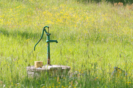 绿色的水泵在充满黄色花朵的草地上