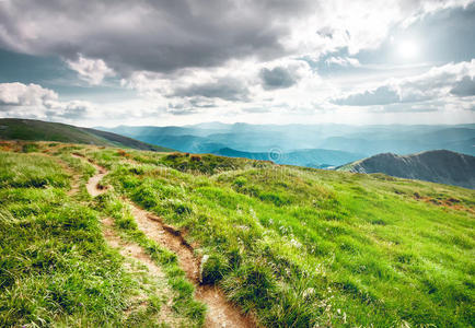 夏季山地景观