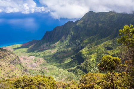 悬崖峭壁 夏威夷 风景 海洋 巴利语 天堂 卡拉劳 山脊