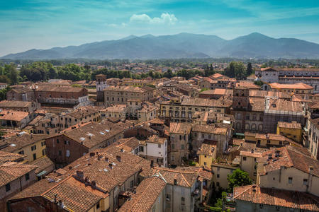 外部 历史 美丽的 地标 意大利语 钟楼 遗产 城市景观