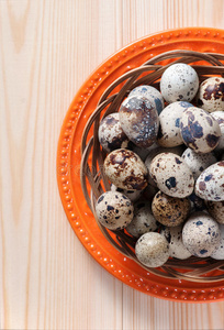 生活 鸟类 鹌鹑 鸡蛋 作物 自然 复活节 蛋白质 产品