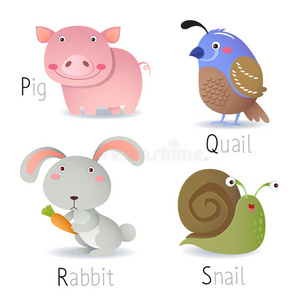 从p到s的动物字母表