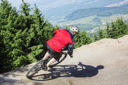 小山 俯视图 运动 砾石 自行车 自由的 森林 自然 时间