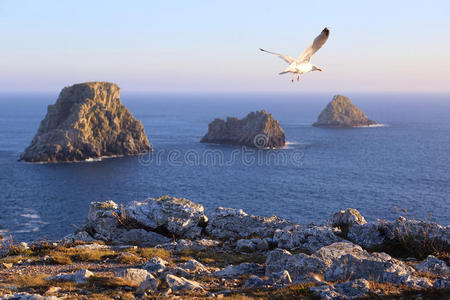 海岸 法国 海岸线 布列塔尼 欧洲 海景 救济 半岛 目的地