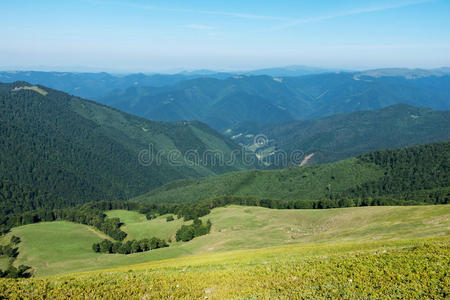 喀尔巴阡山 森林 春天 小山 背包旅行 乡村 公园 地平线