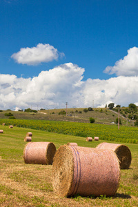 收获 堆栈 风景 乡村 法国 稻草 农场 颜色 农业 作物