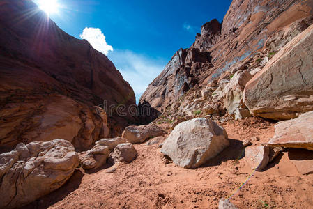 科罗拉多 国家的 亚利桑那州 背包客 地区 峡谷 地质 反射