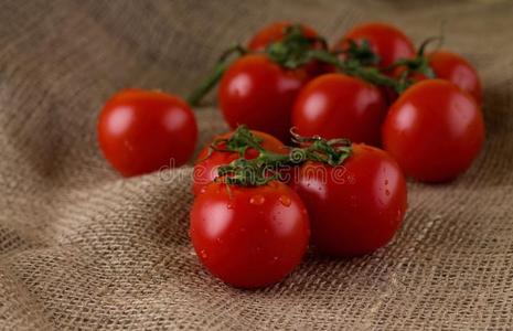 农业 樱桃 黄麻 桌子 番茄 收获 颜色 食物 托马特 形象