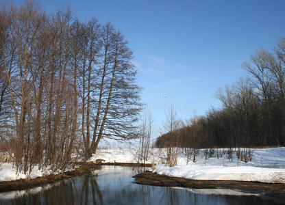 旅行 森林 俄罗斯 冬天 自然