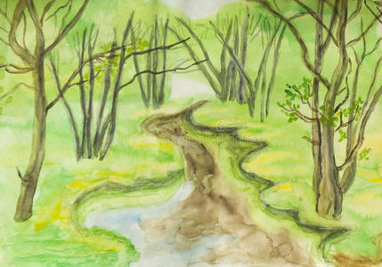 照片 水彩画 夏天 公园 伍兹 好的 水彩 插图 森林 艺术