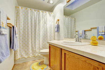 公寓 橱柜 简单的 浴室 美国人 洗澡 真实的 翻新 建筑