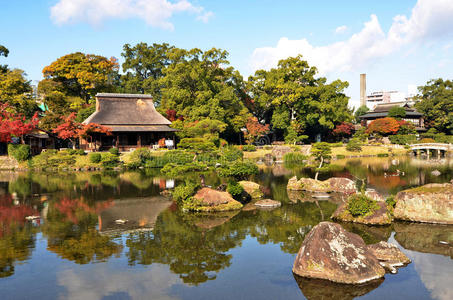 世界 宗教 日本 公园 花园 秋天 自然 落下 池塘 植物