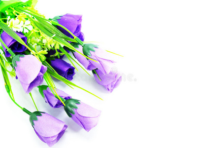 假紫罗兰紫色花