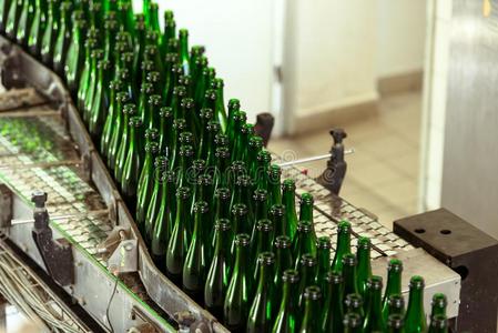 食物 酒精 啤酒 工厂 制造 饮料 空的 液体 麦芽 喝酒