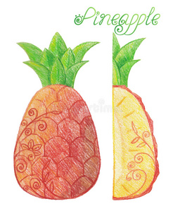 果树 咕哝 甜点 植物 插图 饮食 素描 柔和的 艺术 营养