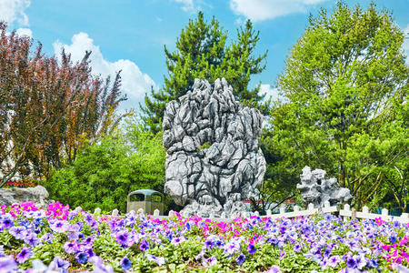 奇怪的 森林 植物学 中国人 古典的 开花 建筑学 亚洲