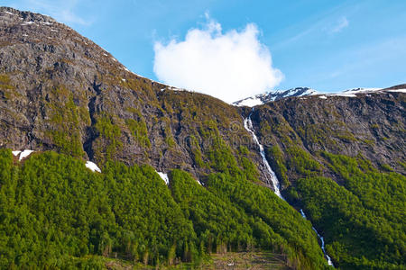 风景 斯堪的纳维亚语 水门 森林 挪威 荒野 公园 国家的