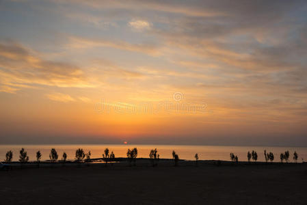 紫色 美丽的 海景 海岸 太阳 场景 美女 风景 棕榈 放松