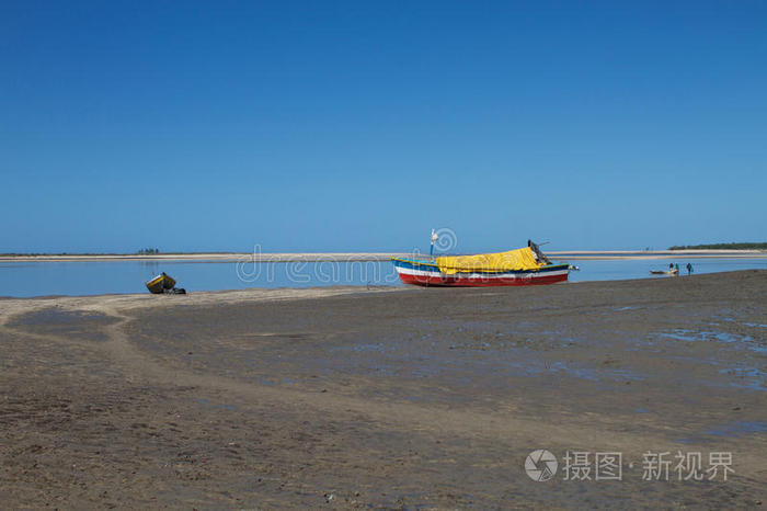 享受 游戏 停车 低潮 海滩 摄影 风景 自然 独家 海洋