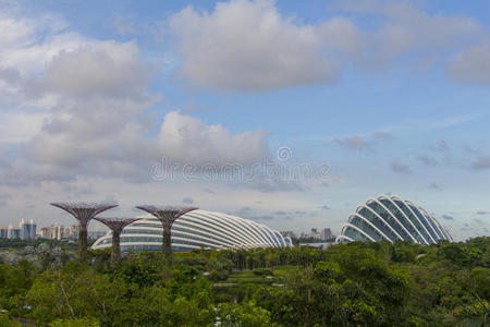 透镜 海湾 框架 满的 照明 亚洲 旅行 植物学 目的地