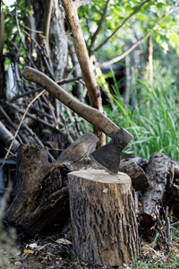 日志 树桩 斧头 权力 剃刀 森林 形象 木材 重的 古老的