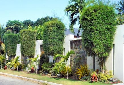 颜色 目的地 国家 植物 财富 建筑 入口 房子 文化 场景