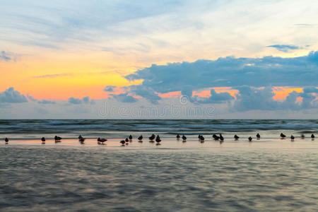 站立 颜色 沿海 暴风雨 自然 美丽的 场景 波浪 天空