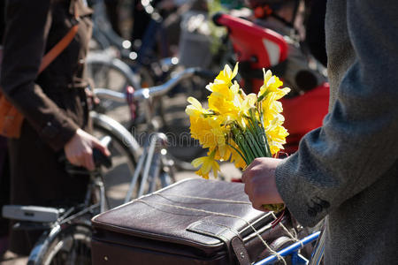 春天 闲暇 古老的 旅行 植物 城市 里加 领域 手提箱
