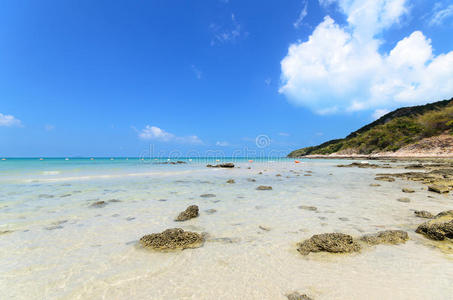 旅行者 岩石 海滨 夏天 海湾 泰国 地平线 冲浪 假期